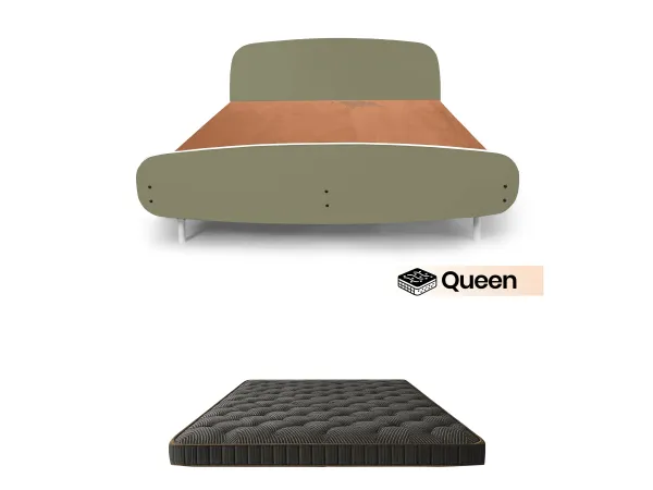 Olivix Queen Bed with 4 inches Mattress